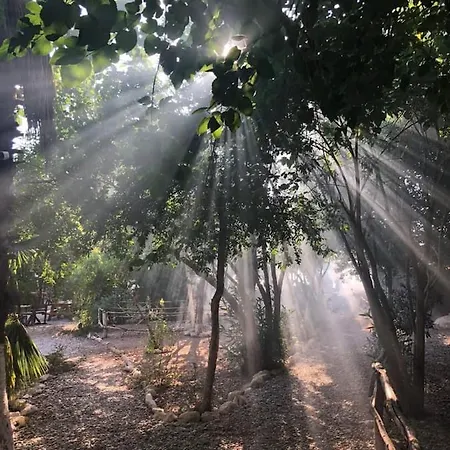 Butterfly Valley Glamping Tente de luxe *