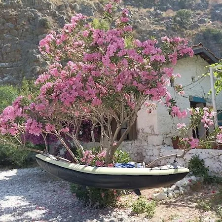 Tente de luxe Butterfly Valley Glamping *