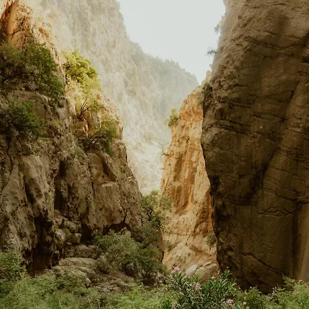 Butterfly Valley Seaside Glamping Fethiye