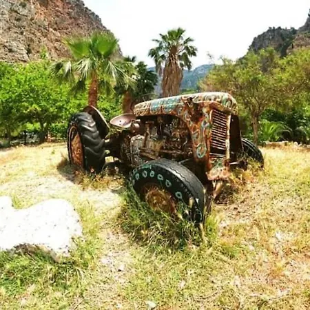 Butterfly Valley Seaside Glamping * פאטהיה
