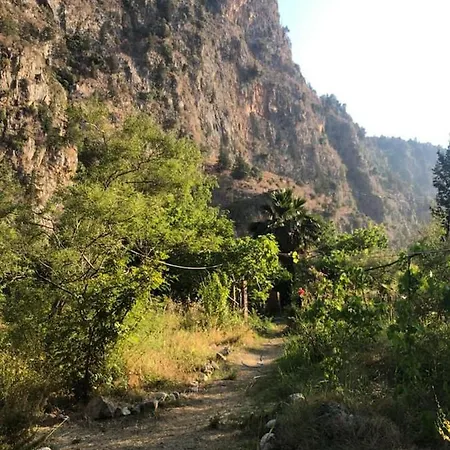 Luxury tent Butterfly Valley Glamping Fethiye