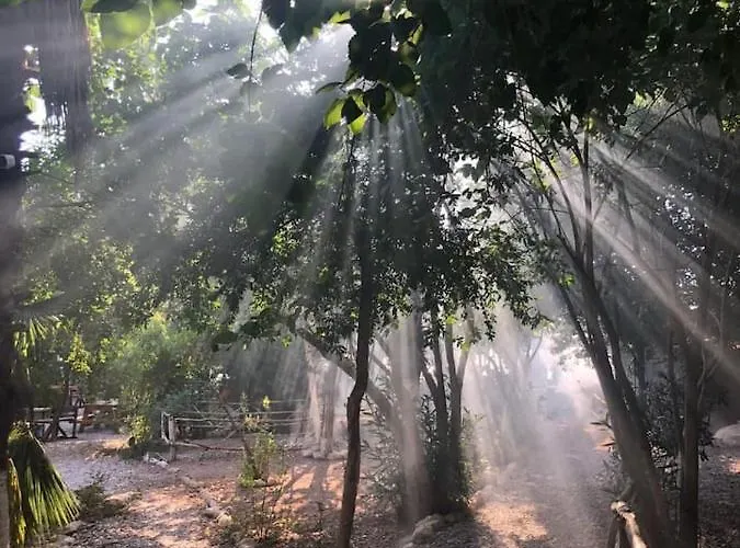 Butterfly Valley Glamping Tente de luxe *