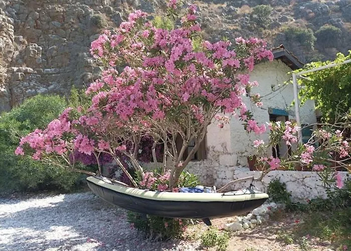 Luksustelt Butterfly Valley Seaside Glamping *