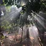 Butterfly Valley Seaside Glamping Οργανωμένο κάμπινγκ *
